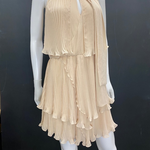 Foley + Corinna Trapeze Tiered Mini Dress - Picture 2 of 11